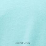 Aruba Blue 2286N578 Wellie Short Sleeve Tee Reef Men - Image 5