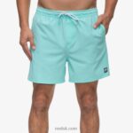 Aruba Blue 2286N689 Marzo Elastic Waist Board Short 16" Reef Men