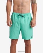 Electric Green 2286N704 Jackson Board Short 17" Reef Men