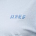 Skyway 2286N269 Fountains Short Sleeve Crop Tee Reef Women - Image 3
