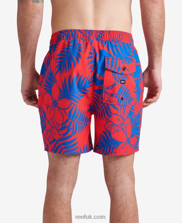 Hibiscus 2286N720 Walton Board Short 19\" Reef Men