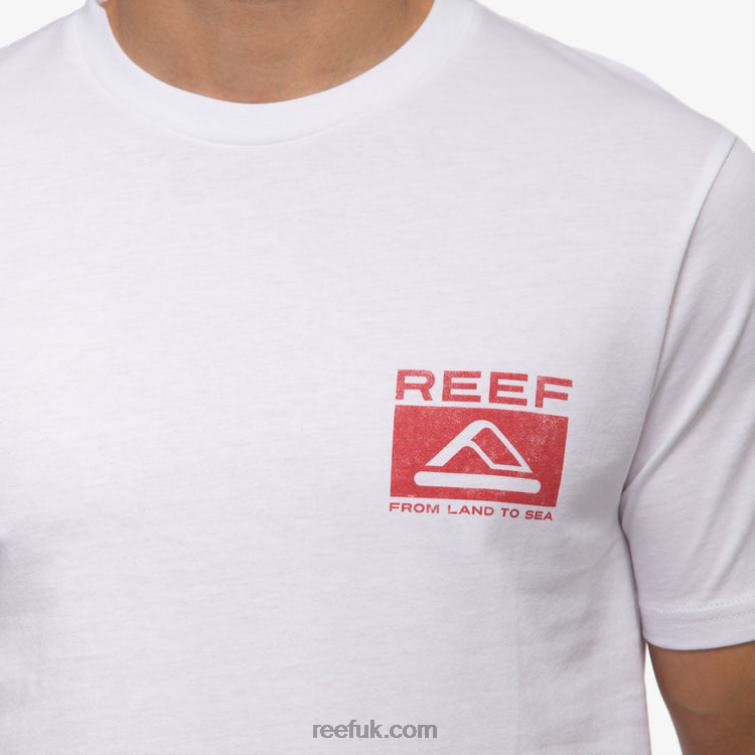 Bright White 2286N564 Beverly Short Sleeve Tee Reef Men