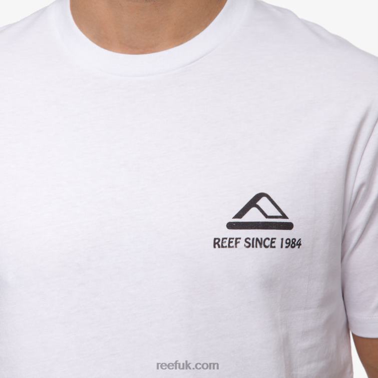 Bright White 2286N570 Cardwick Short Sleeve Tee Reef Men