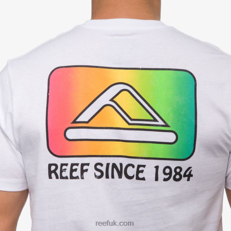 Bright White 2286N570 Cardwick Short Sleeve Tee Reef Men
