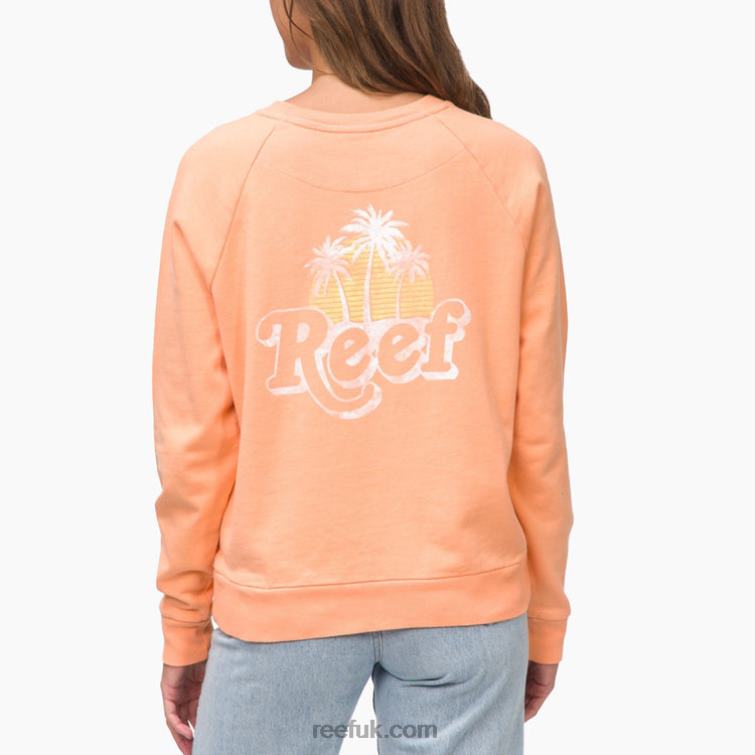 Coral 2286N289 Florence Pullover Crewneck Reef Women