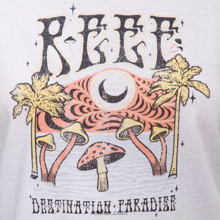 Bright White 2286N268 Poster Child Short Sleeve Crop Tee Reef Women